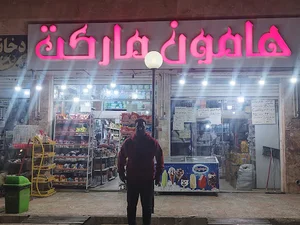 بازرگانی هامون