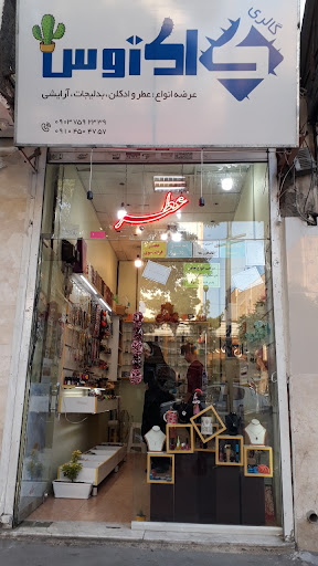 گالری کاکتوس