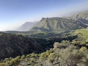 عینک تابان