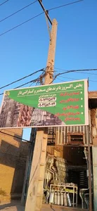 پخش اگزوز