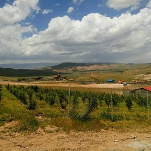 املاک سینا شعبه مرکزی
