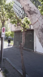 نمایشگاه و فروشگاه فرش کاشان 2