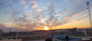 سبزیکاری