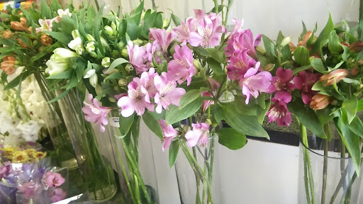 گلسرای ایرسا