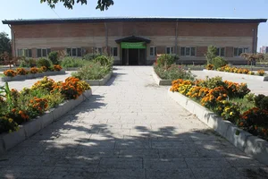 دکتر زنبور