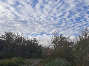 حي الشهداء