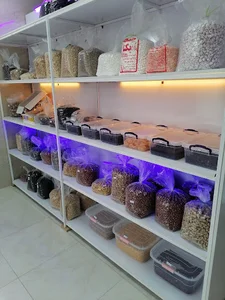 آجیل خشکبار پارسا