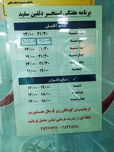 استخر دلفین سفید