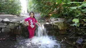 رود طبس
