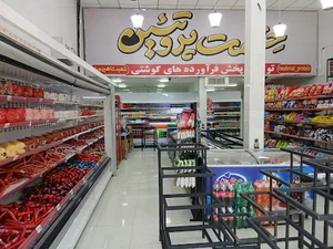حشمت پروتئین شعبه شاهین ویلا