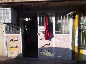 پیرایشگاه هاوین
