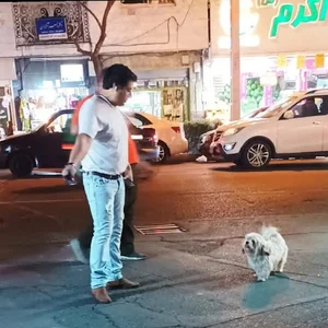 آبنمای پارک مرودشت