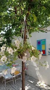 کافه رستوران لاچین