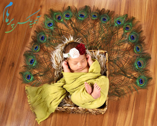 Parham Photo Studio