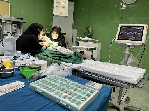 متخصص دندانپزشکی کودک و نوجوان دکتر بهار احمدی