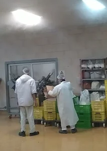 شرکت سولیکو