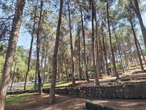 پارک شریعتی 5