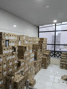 بندرگناوه پارکینگ ملت