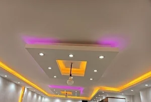 وحید تیموریان 2