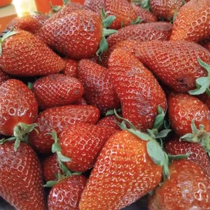سوپر میوه آذری 2