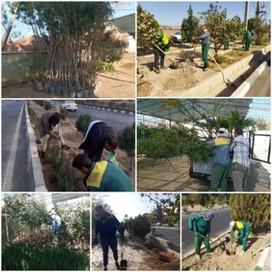 مجموعه خدمات کشاورزی گلستان
