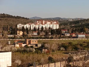 مشاور املاک شقایق_ رضایی ساری