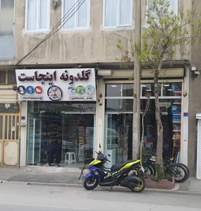 گلدونه اينجاست اسباب بازی فکری آموزشی گلدونه