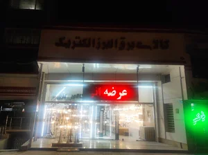 البرز الکتریک - رضا درستی