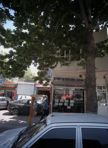 داروگیاهی شفا