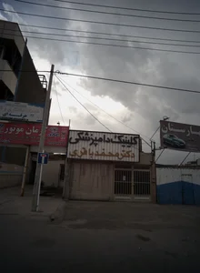 کلینیک دامپزشکی دکتر محمد باقری