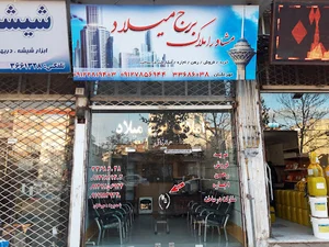 مشاور املاک برج میلاد Borj milad real estate consultant