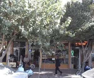 فروشگاه رنگ و ابزار آلات 2