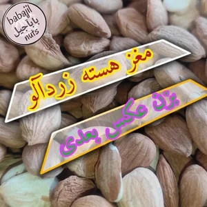 آجیل و خشکبار بابایی - بابآجیل 5