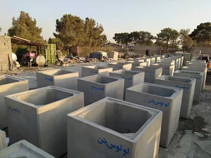 لوتوس بتن