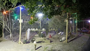 مجموعه ماکیان زیبای رهنان
