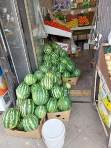 میوه فروشی شهر میوه گل یاس 4