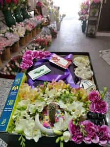 خانه گل کاکتوس
