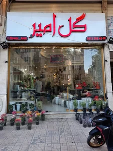 گل فروشی امیر 2