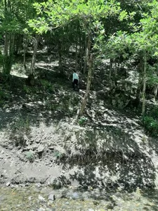 پارک فدک 2