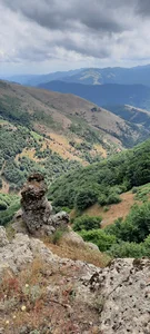 کوچه شهید رجایی