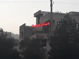 پتشاپ و دامپزشکی پروچیستا
