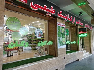 هایپر ارگانو 2