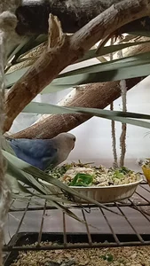 تصفیه آب هاشمی