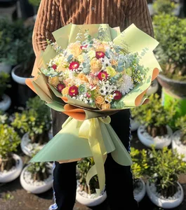 گلفروشی گلدشت بیابانی
