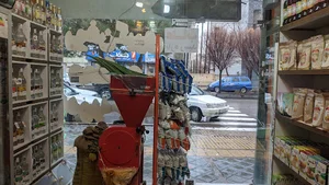 عطاری ابراهیمی