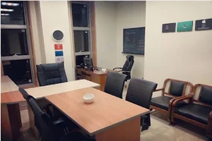 توسعه دهندگان دلفین هفت