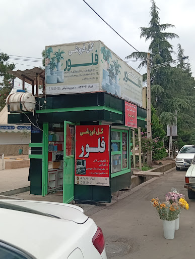 گلفروشی فلور