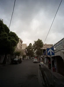 پروتئین سعید