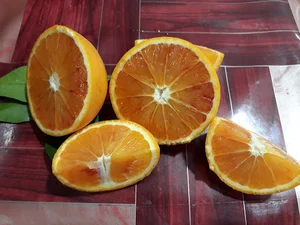 میوه فروشی امیری