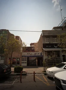 گلفروشی کاتلیا 2